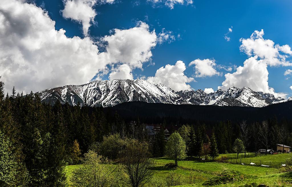 Zwijaczowka Bed and Breakfast Zakopane Eksteriør billede