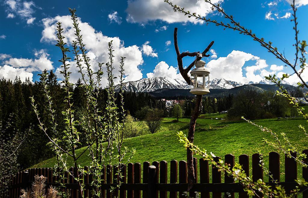 Zwijaczowka Bed and Breakfast Zakopane Eksteriør billede